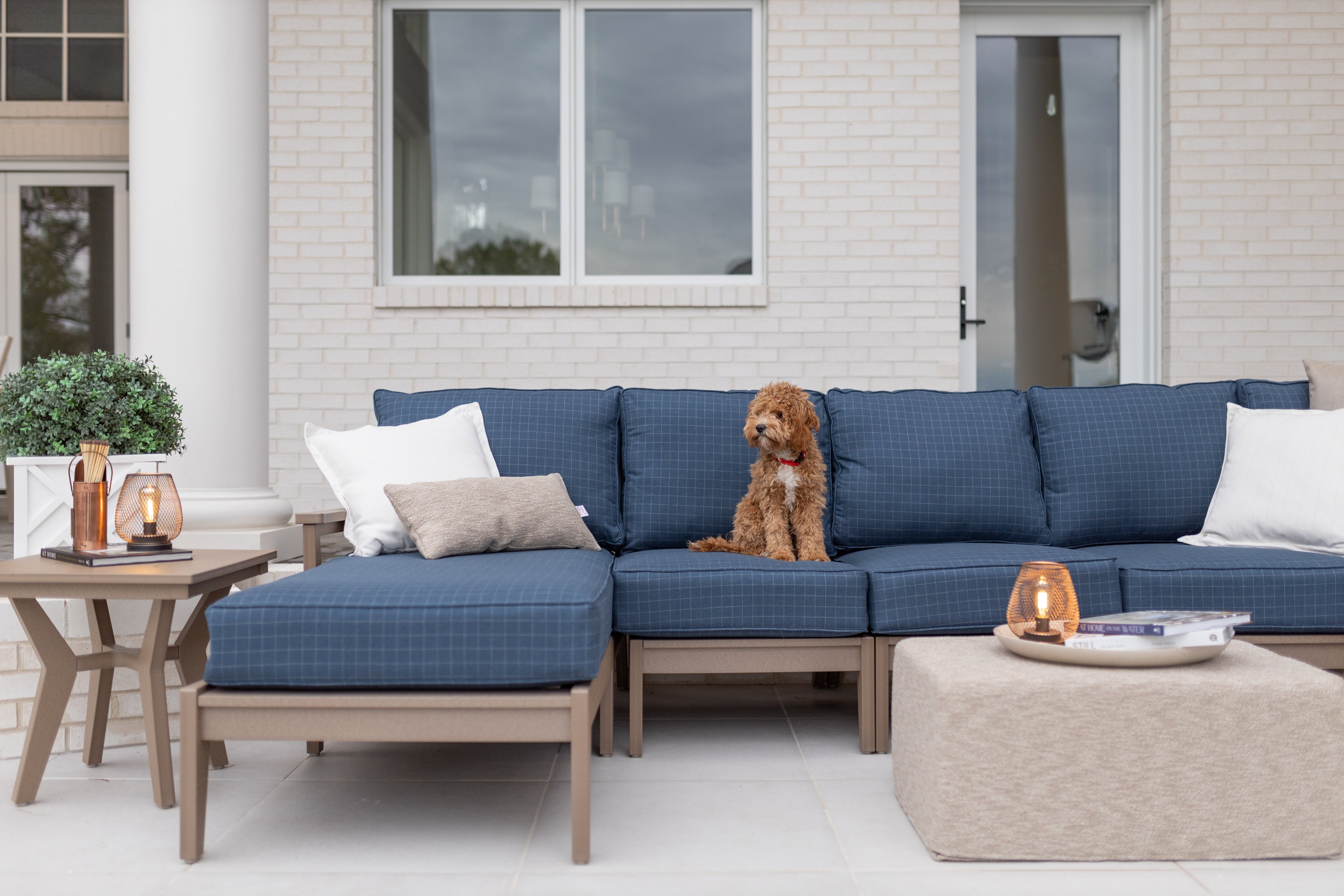 Mayhew Collection