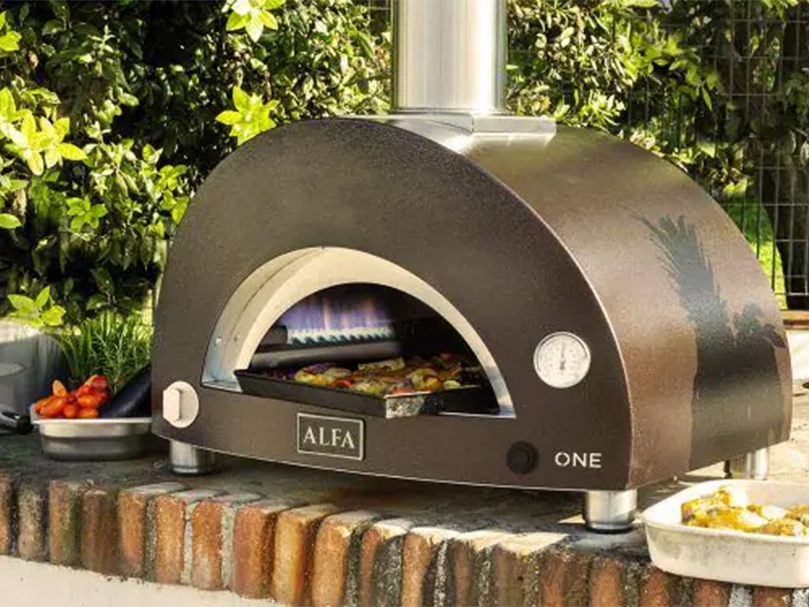 Alfa Moderno 1 Pizze Gas Pizza Oven