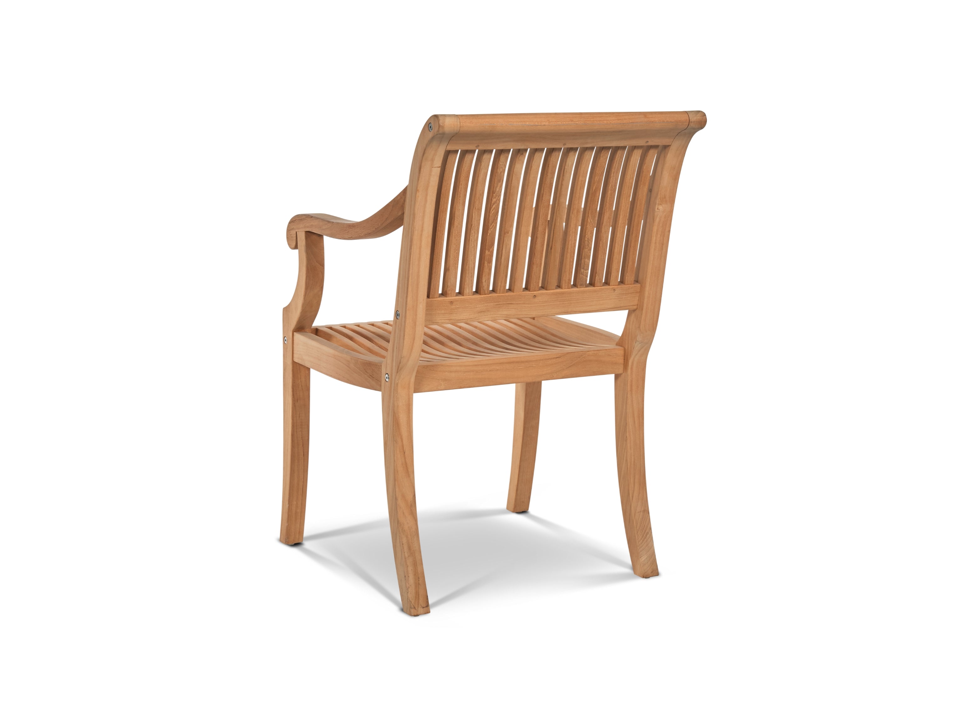 Palm Dining Arm Chair
