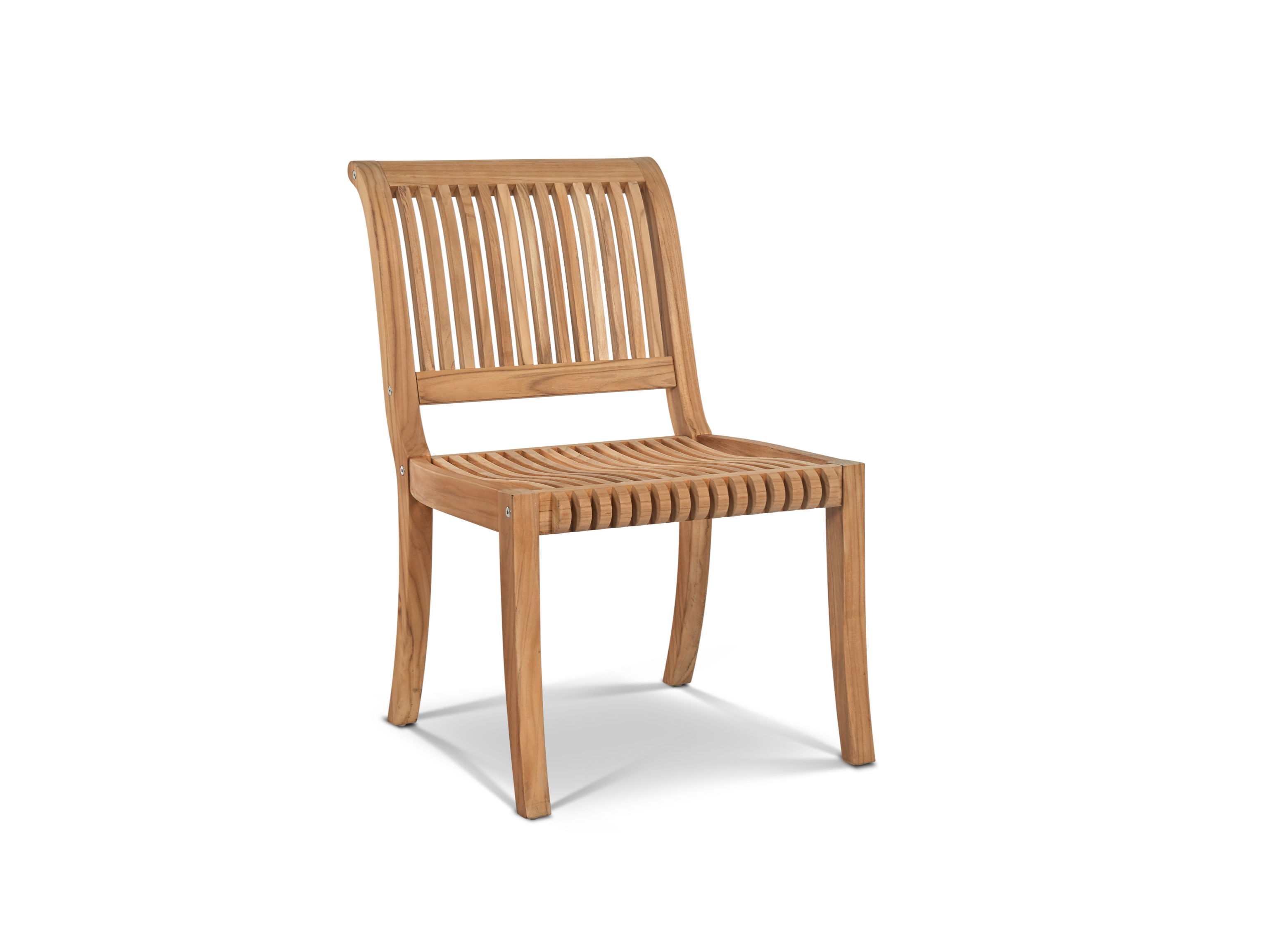 Palm Side Chair