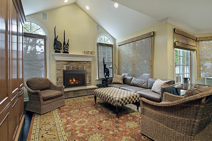 Majestic Jasper Medium Direct Vent Gas Insert