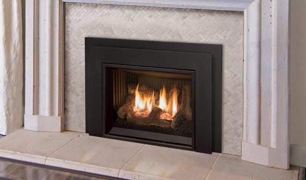 E20 Direct Vent Gas Insert
