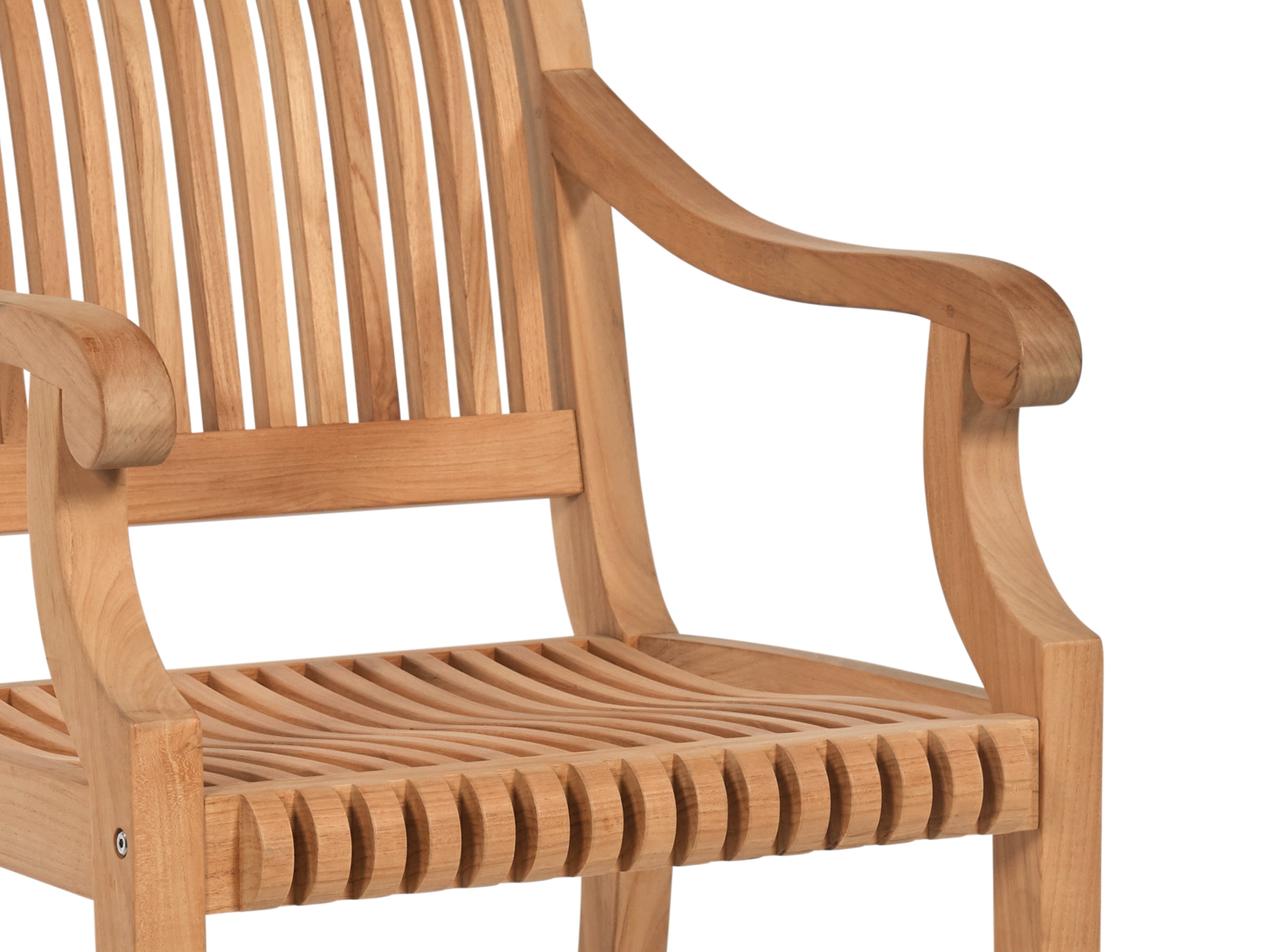 Palm Dining Arm Chair