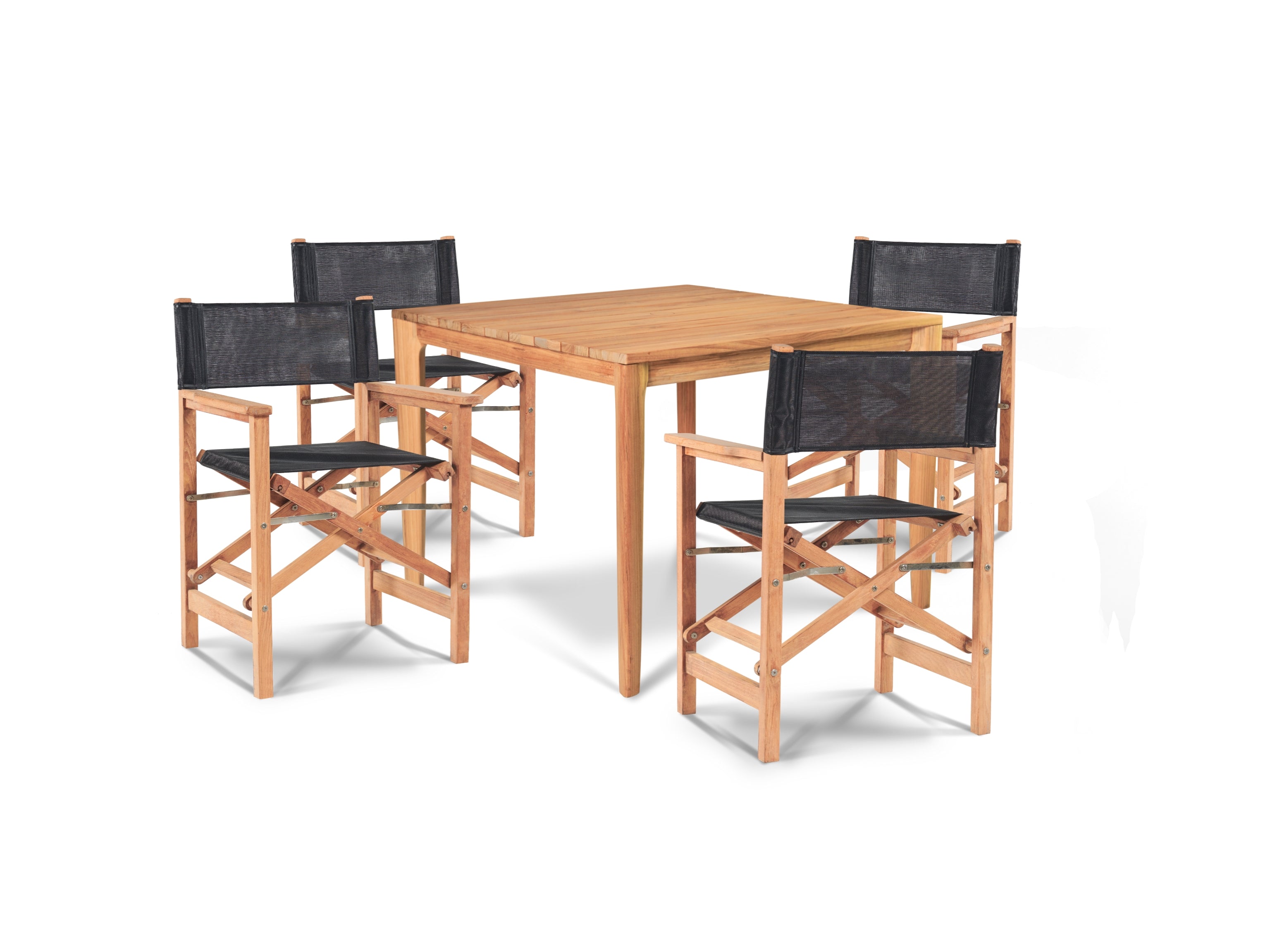 Director Folding Arm Chair